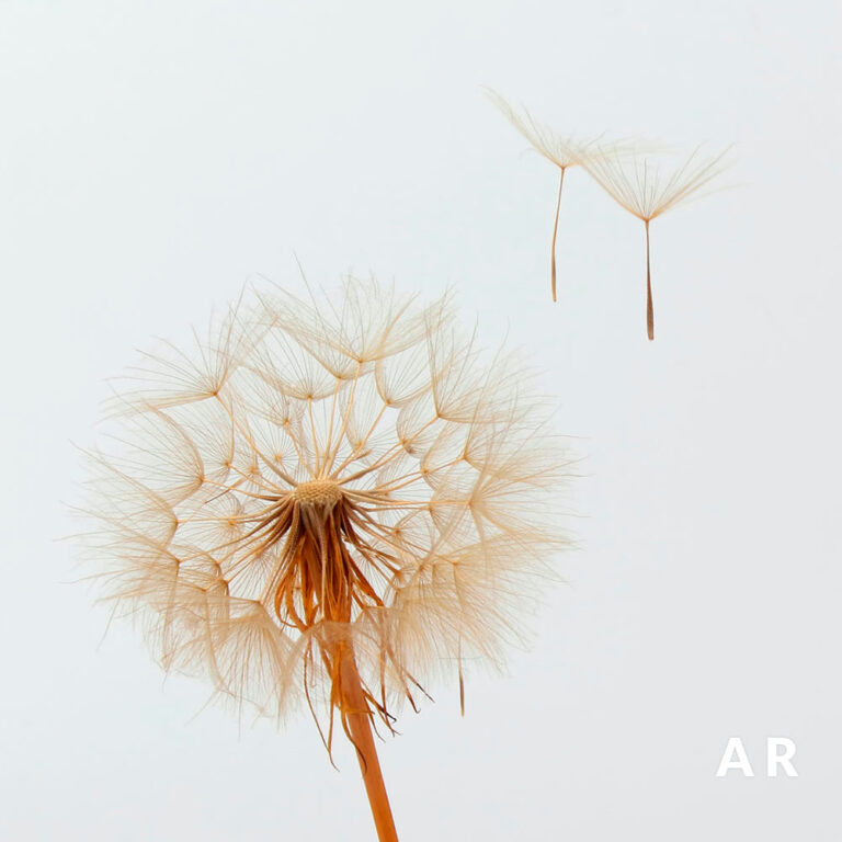 Ar