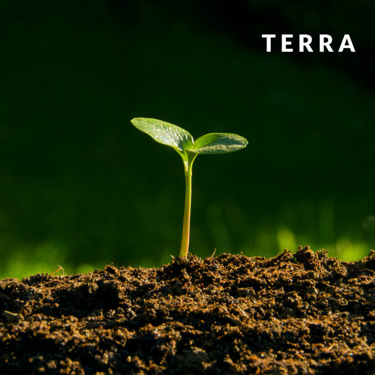 Terra